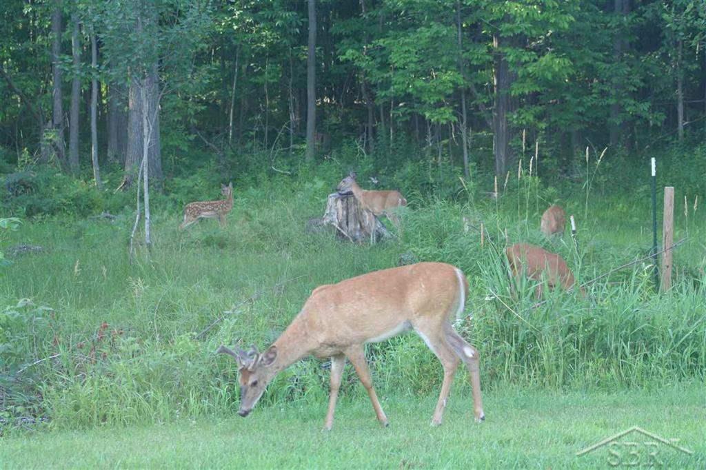 4111 Swinson Road Rhodes, MI 48652 - Photo 27 of 30