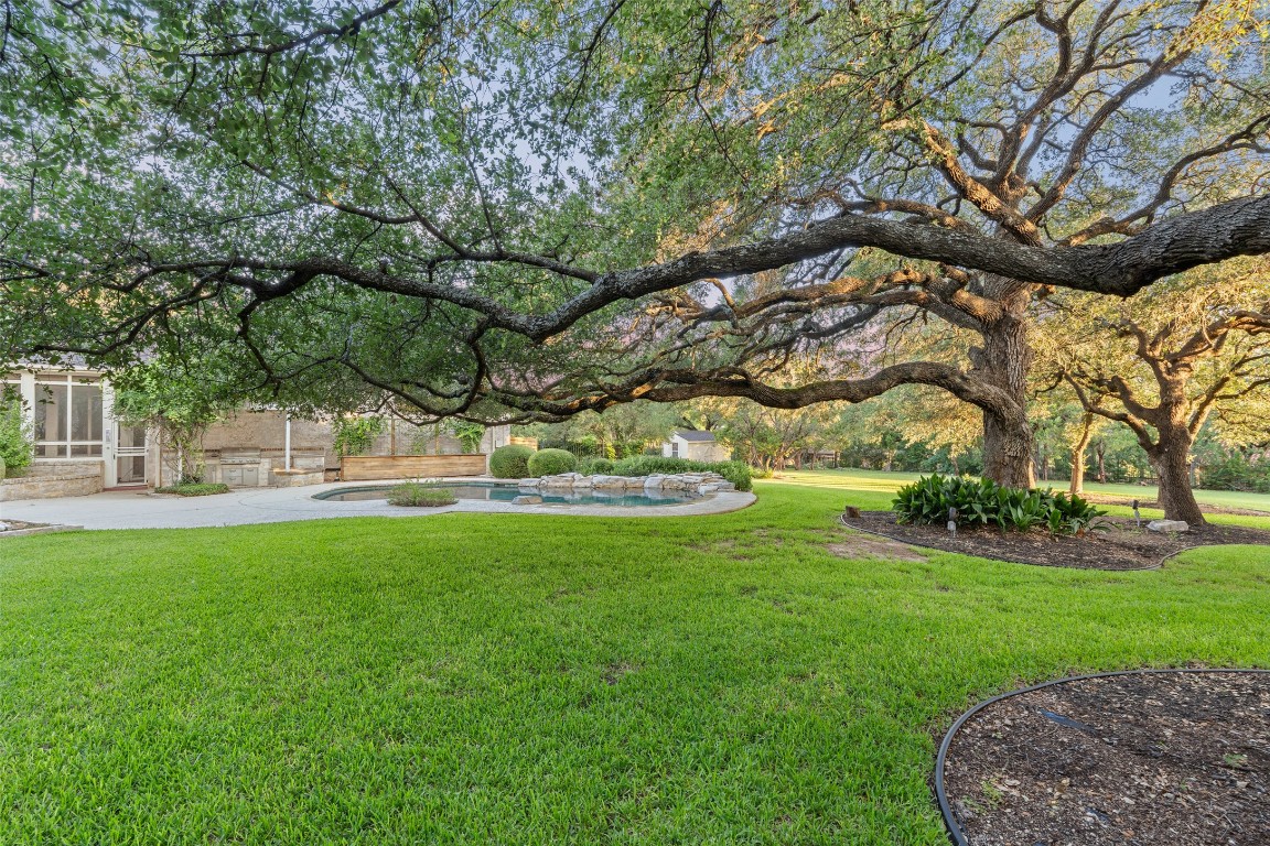 127 Roberts Circle Georgetown, TX 78633 - Photo 35 of 35 a view of yard with tree
