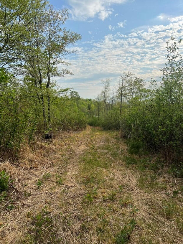 7950 Public Road Somerset, KY 42503 - Photo 8 of 29 07
