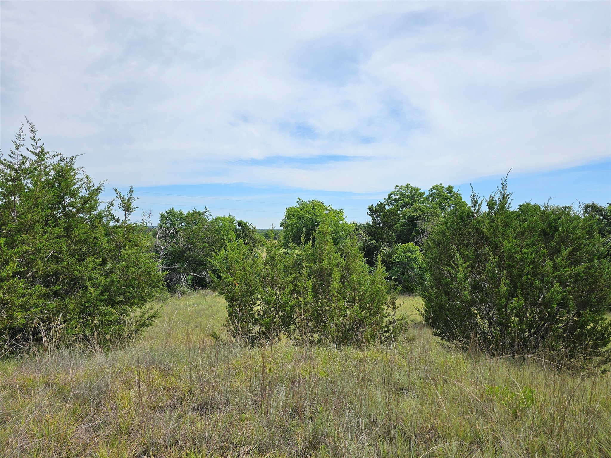 580 East 0123 Kempner, TX 76539 - Photo 7 of 15 A verdant, open lot awaits your vision, framed by mature trees under an expansive sky.