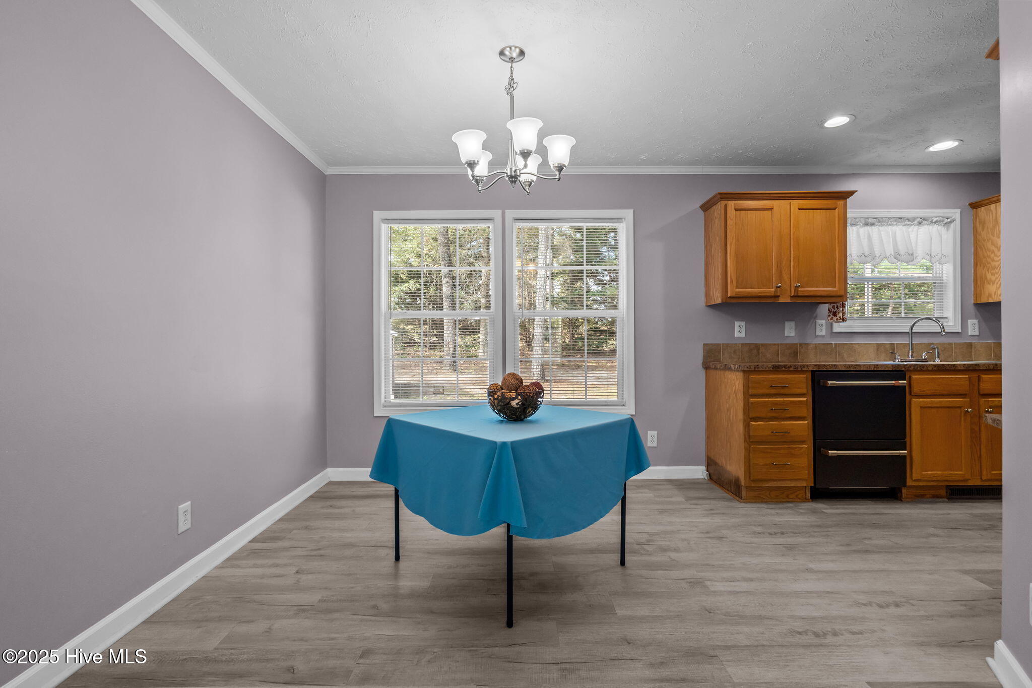 147 Swain Lane West End, NC 27376 - Photo 12 of 42 16-web-or-mls-DSC02840