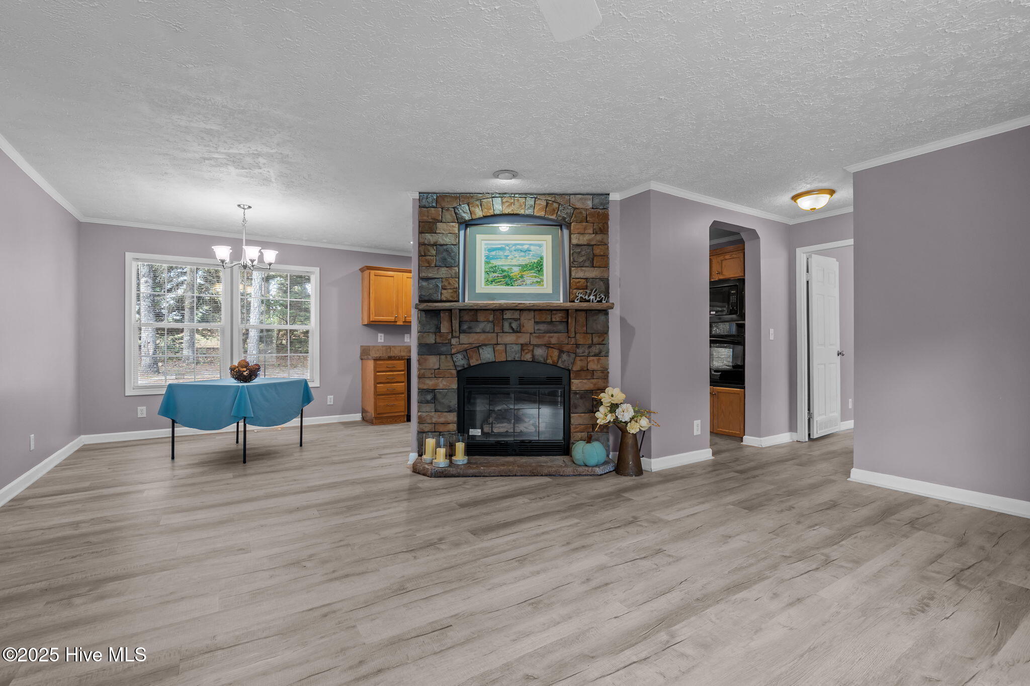 147 Swain Lane West End, NC 27376 - Photo 9 of 42 Living Room