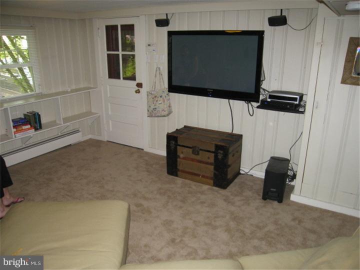 344 Rockland Road Wayne, PA 19087 - Photo 22 of 24 Basement - Finished