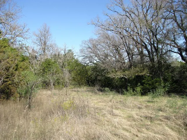 a view of a yard with a tree