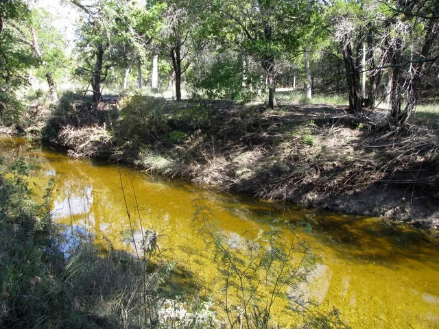 a view of a swimming pool and trees in the background