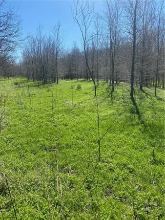 $843,000 | 459 Troy Tx 76524, Eddy, TX 76524