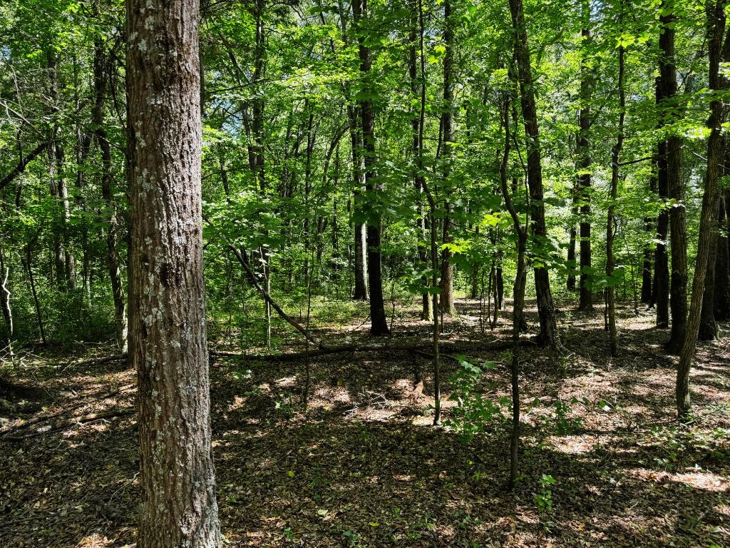 New Street Cowpens, SC 29330 - Photo 2 of 7