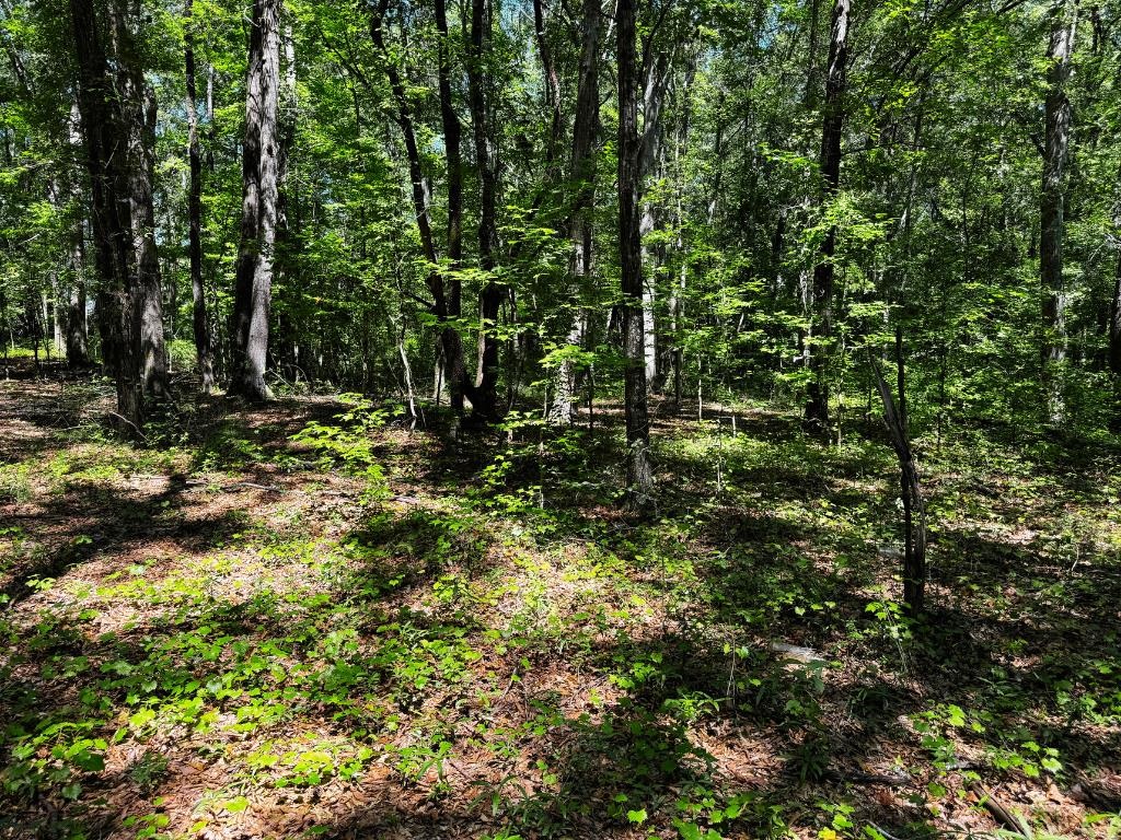 New Street Cowpens, SC 29330 - Photo 3 of 7