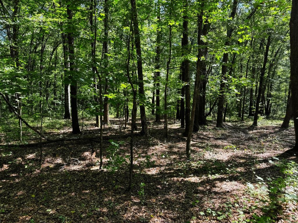 New Street Cowpens, SC 29330 - Photo 4 of 7