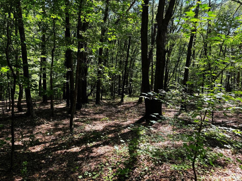 New Street Cowpens, SC 29330 - Photo 5 of 7