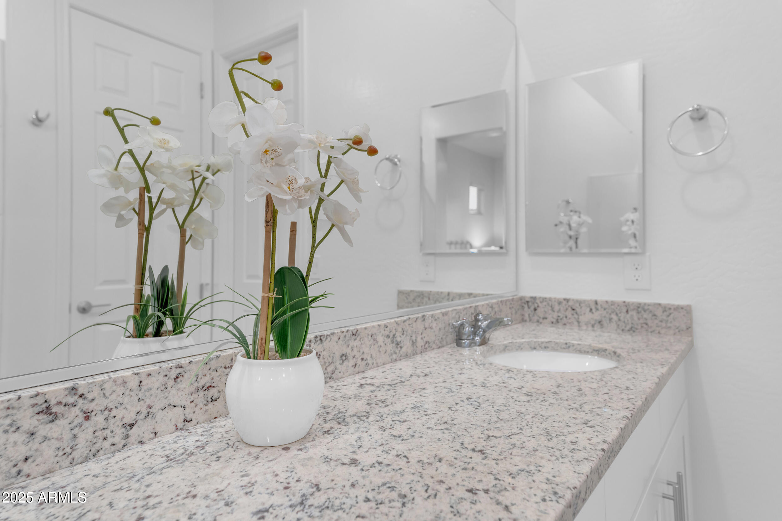 18551 West Desert Trumpet Road Goodyear, AZ 85338 - Photo 41 of 106 85_dsc03235