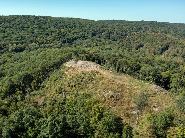 an aerial view of houses covered in trees