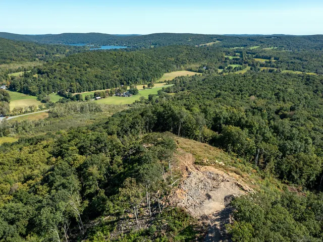 a view of a lush green field with lots of bushes