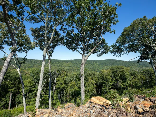 a view of a lush green field with mountains in the background