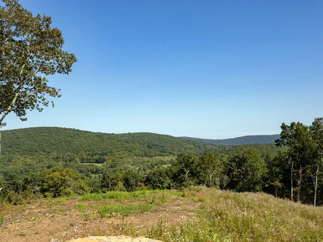 a view of a lush green field with mountains in the background