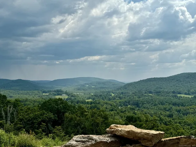 a view of a green field with mountains in the background