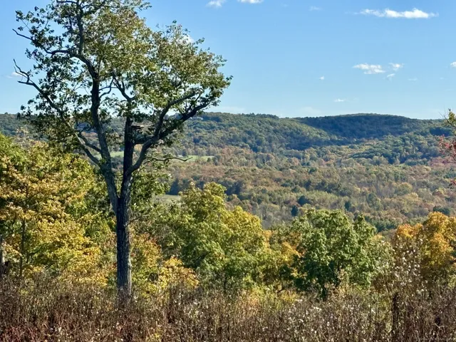 a view of a houses with a yard