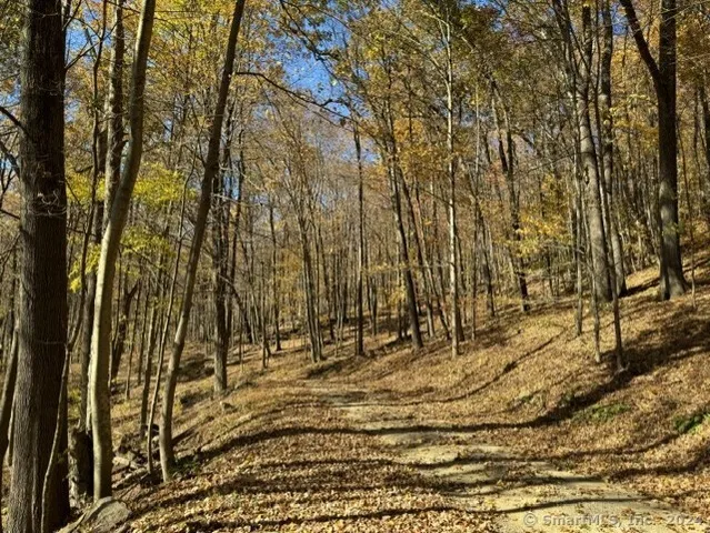 a view of a yard with mountain view