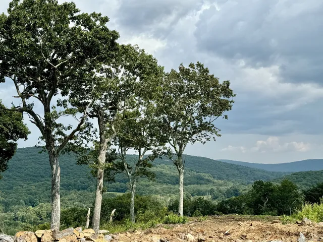 a view of a backyard of the house