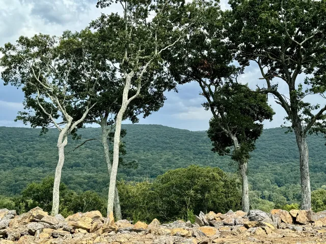 a view of a yard covered in snow
