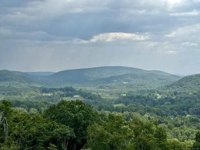 an aerial view of houses covered in trees