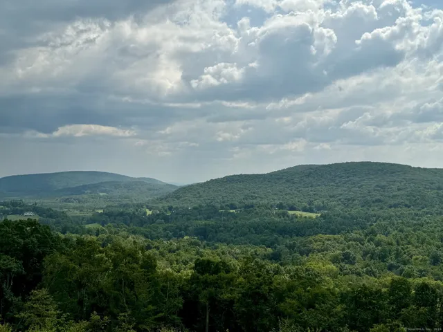 a view of a city and mountains