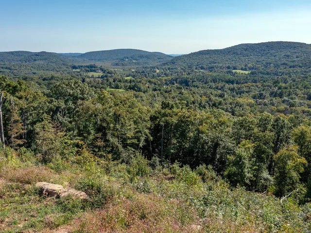a view of a forest with mountains in the background