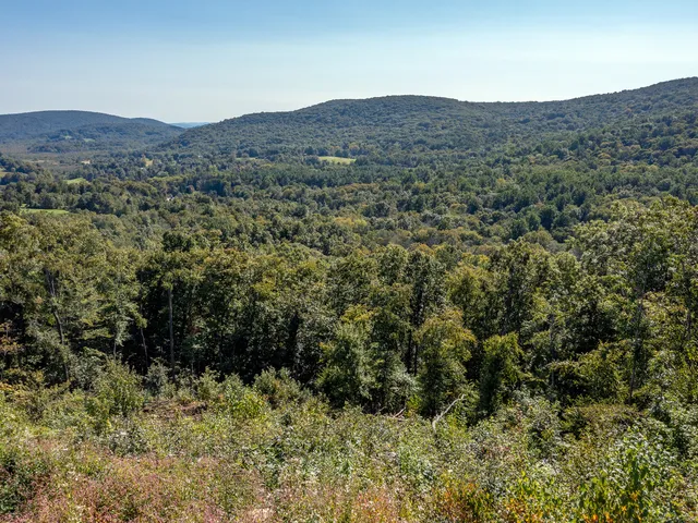 a view of a forest with mountains in the background