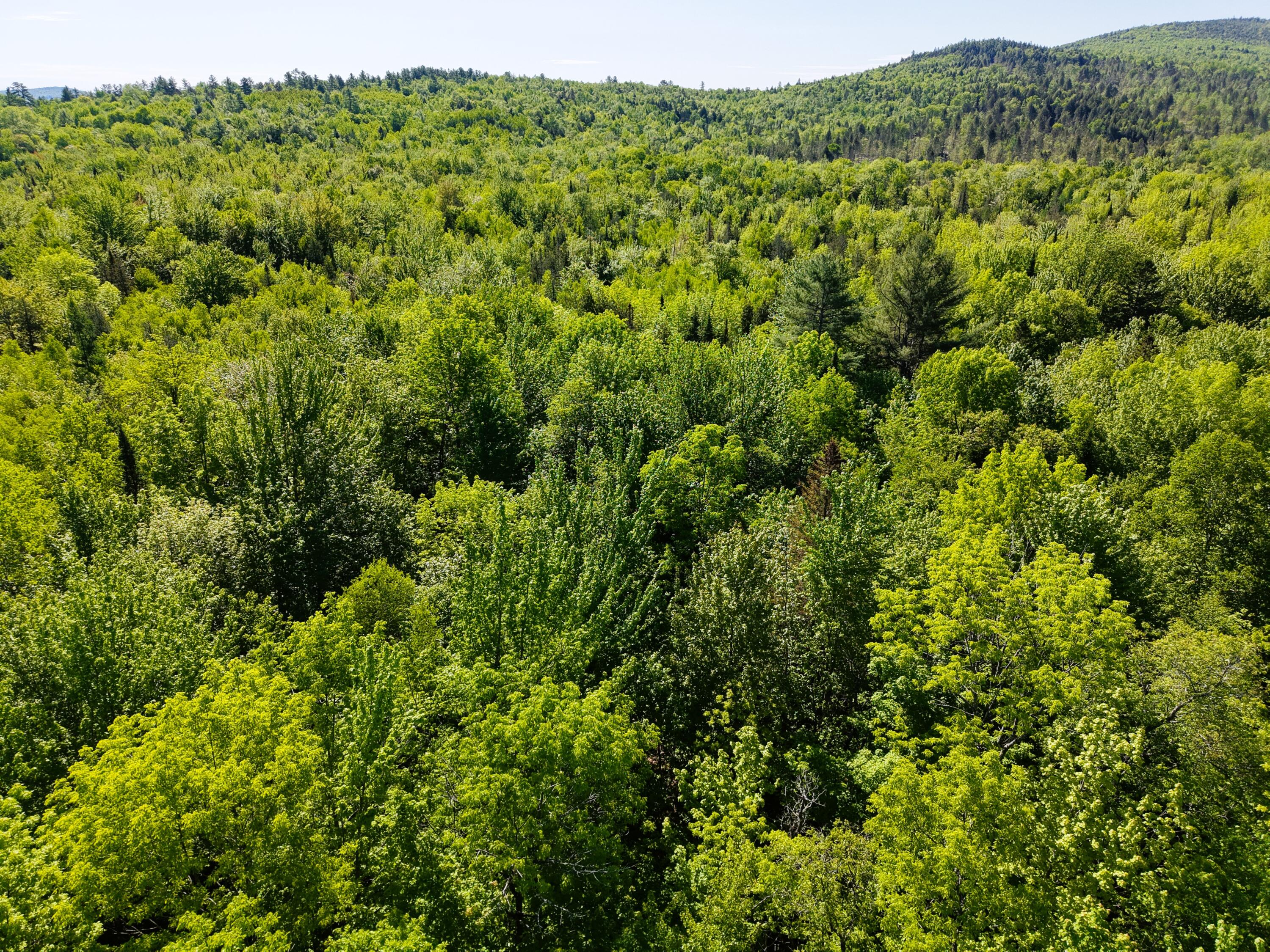 M10-l6-1 Hancock Pond Road New Portland, ME 04961 - Photo 25 of 30 DJI_20260603090158_0010_D