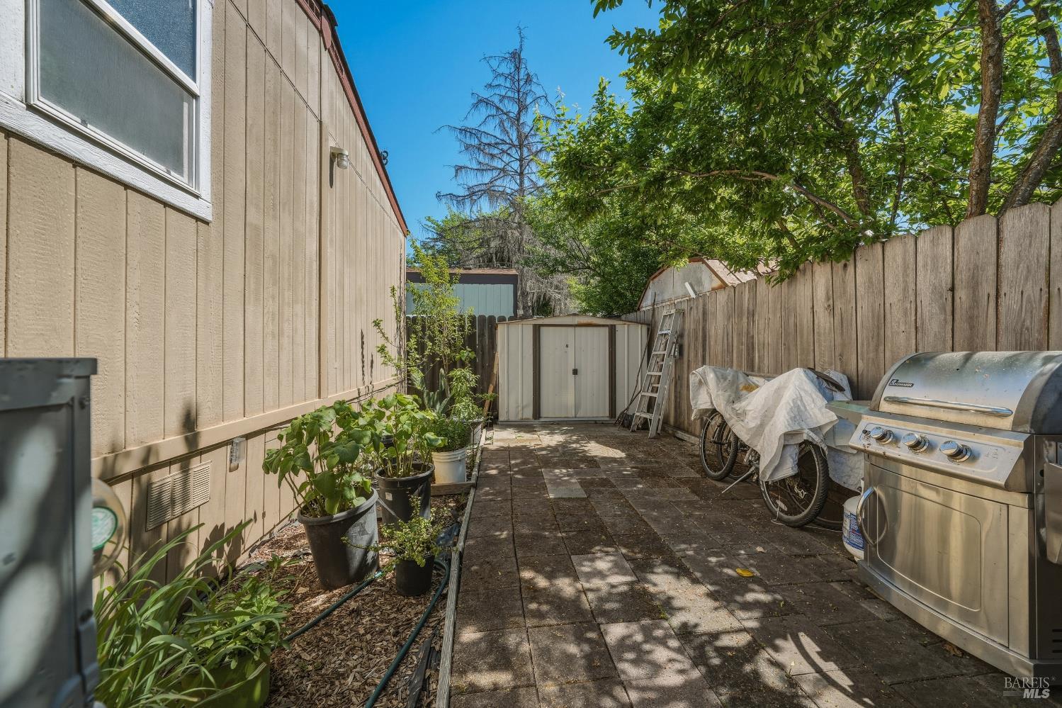 436 McCoy Avenue Santa Rosa, CA 95407 - Photo 24 of 27 a view of a backyard with tub and trees