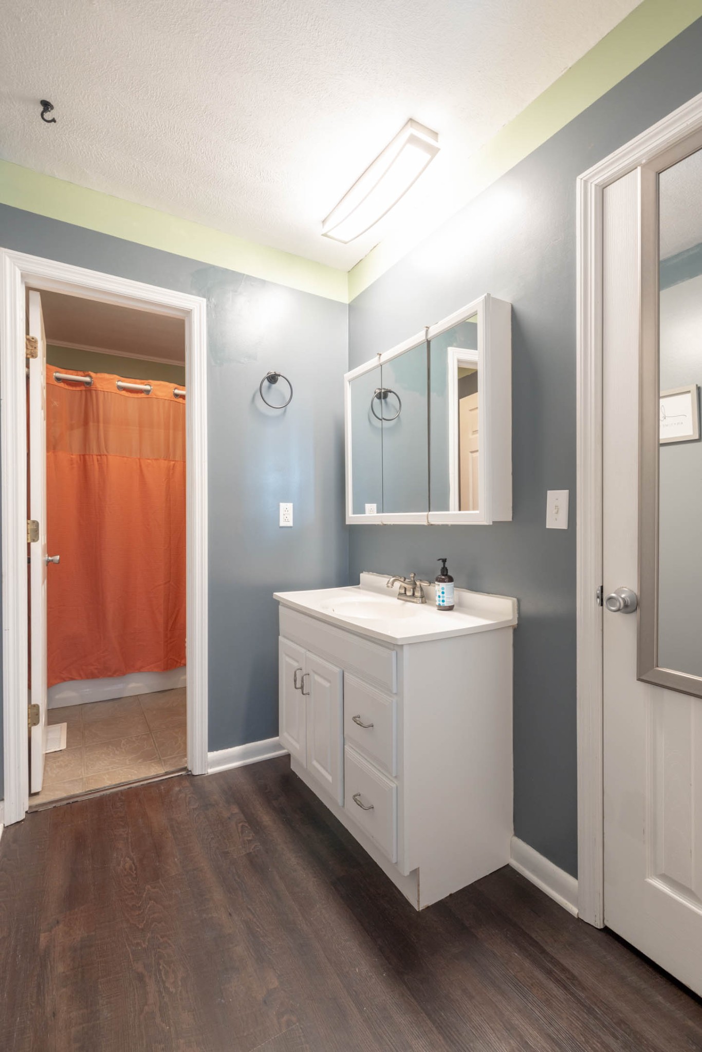 135 Corinth Road Portland, TN 37148 - Photo 29 of 44 a bathroom with a sink double vanity and a mirror