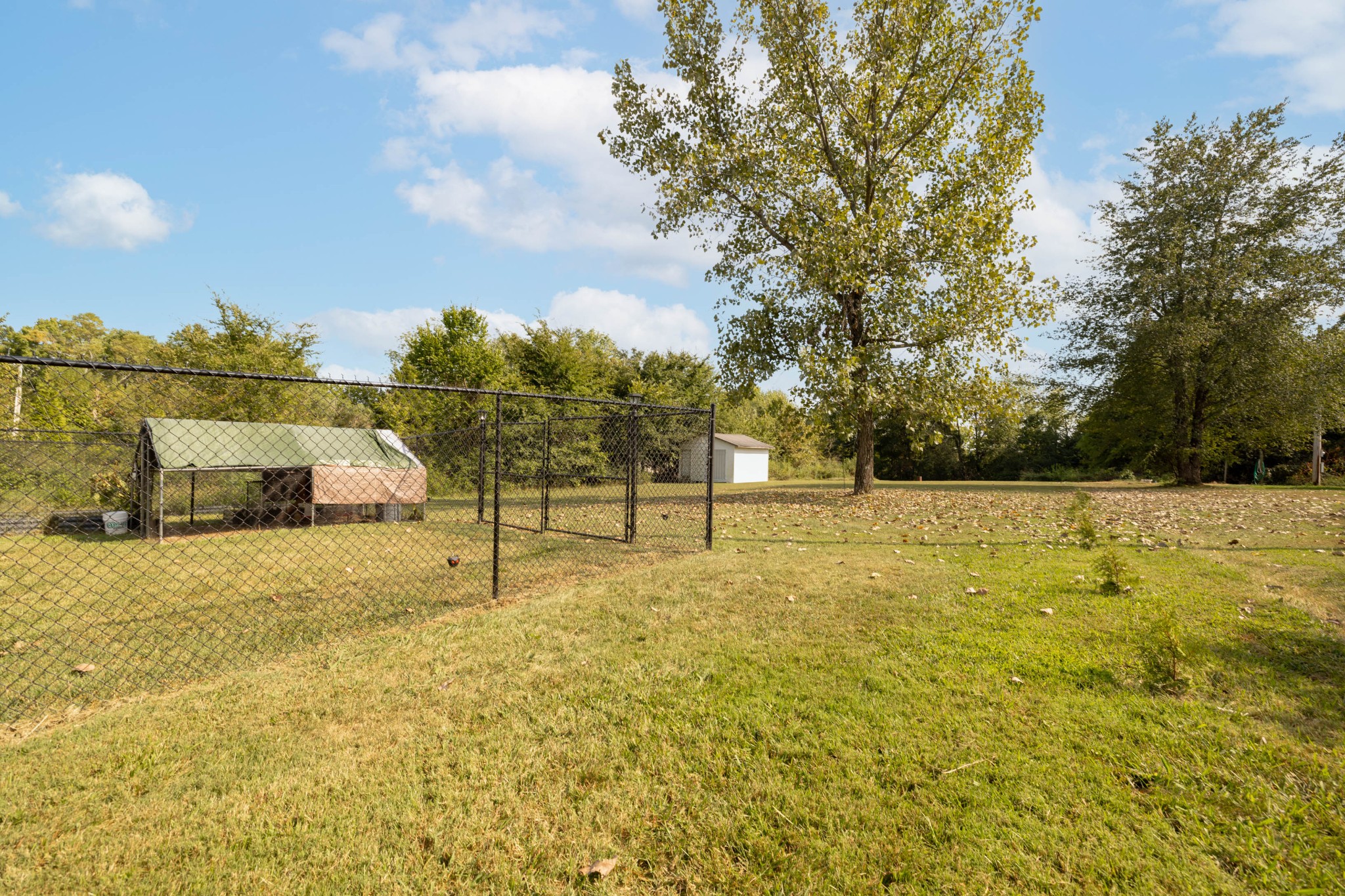 135 Corinth Road Portland, TN 37148 - Photo 39 of 44