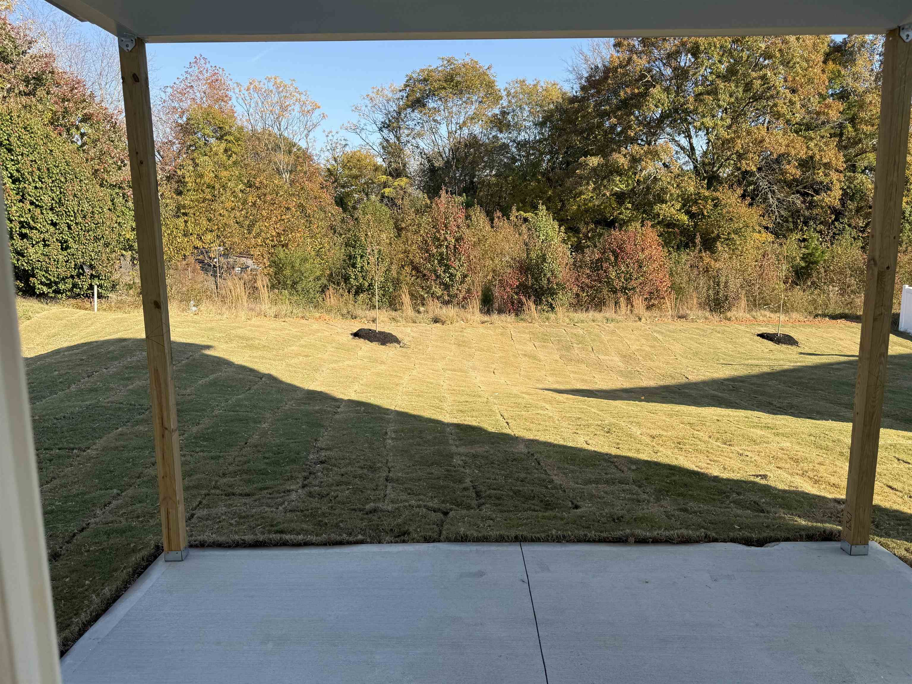 1125 Matisse Circle Moore, SC 29369 - Photo 8 of 14