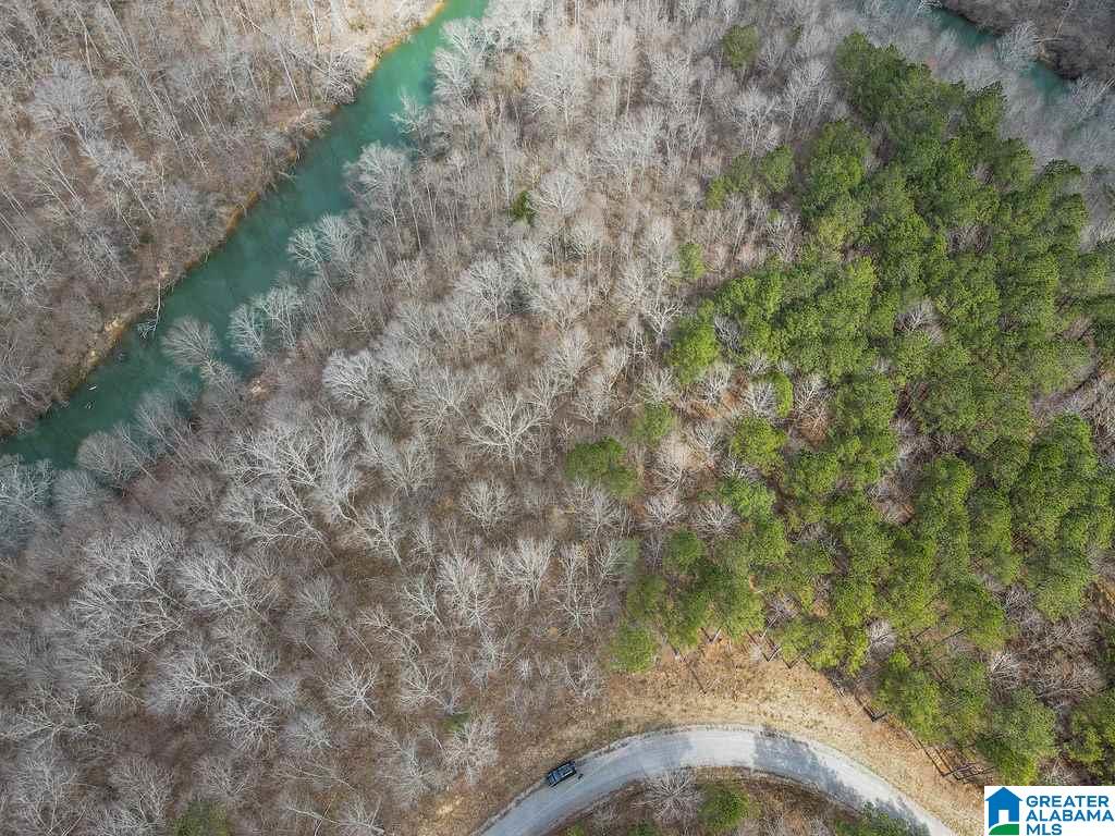 Lot #8 Turkey Bend Drive, Unit 8 Addison, AL 35540 - Photo 13 of 13