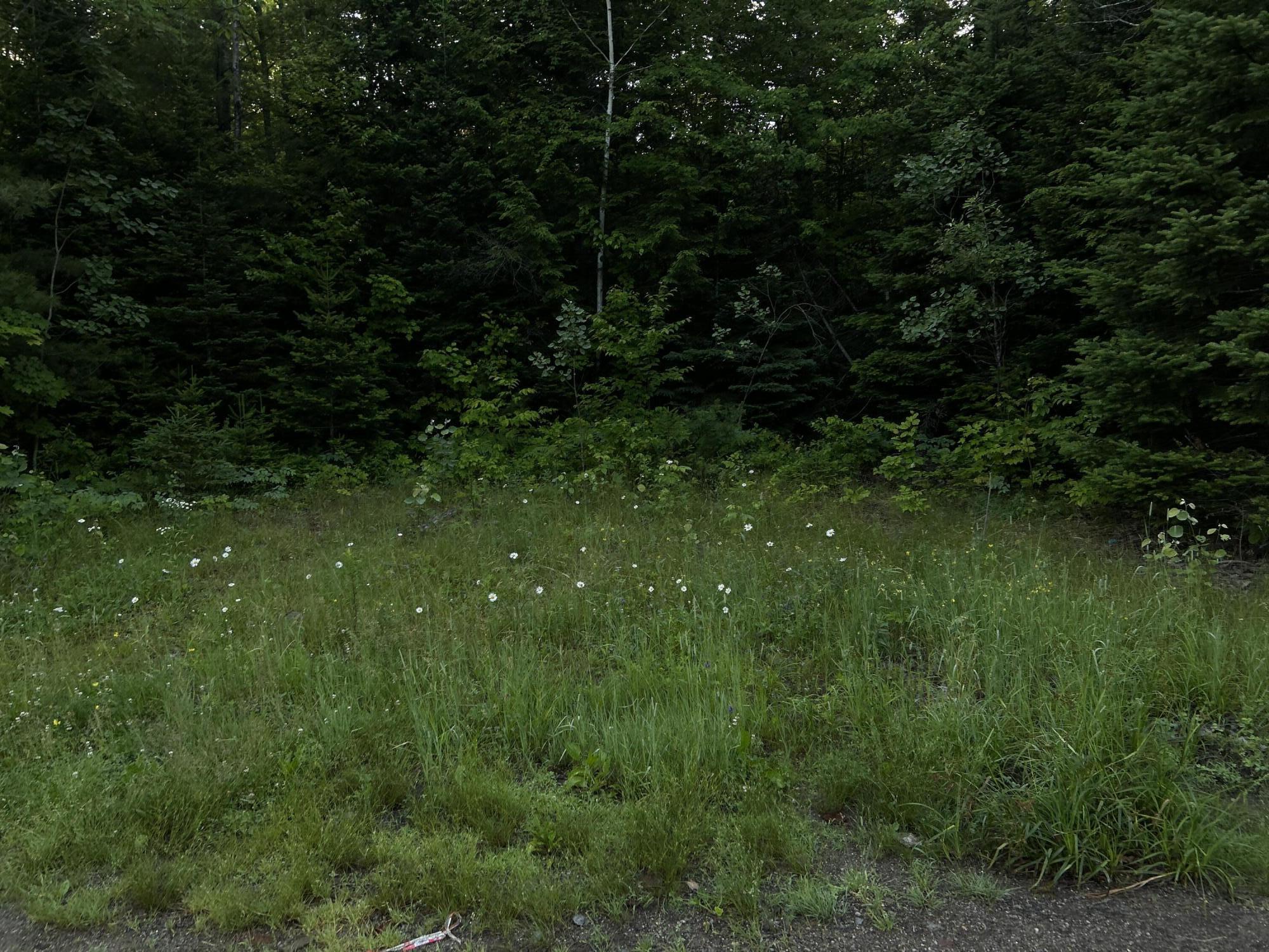 24a Anson Valley Road New Vineyard, ME 04956 - Photo 23 of 93 IMG_4930