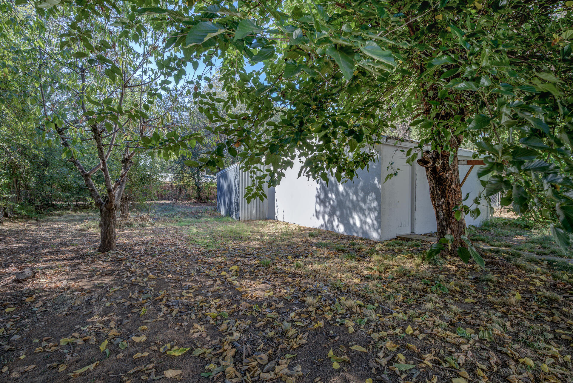 5536 Willow Road Redding, CA 96001 - Photo 29 of 30 5536WillowRd-32