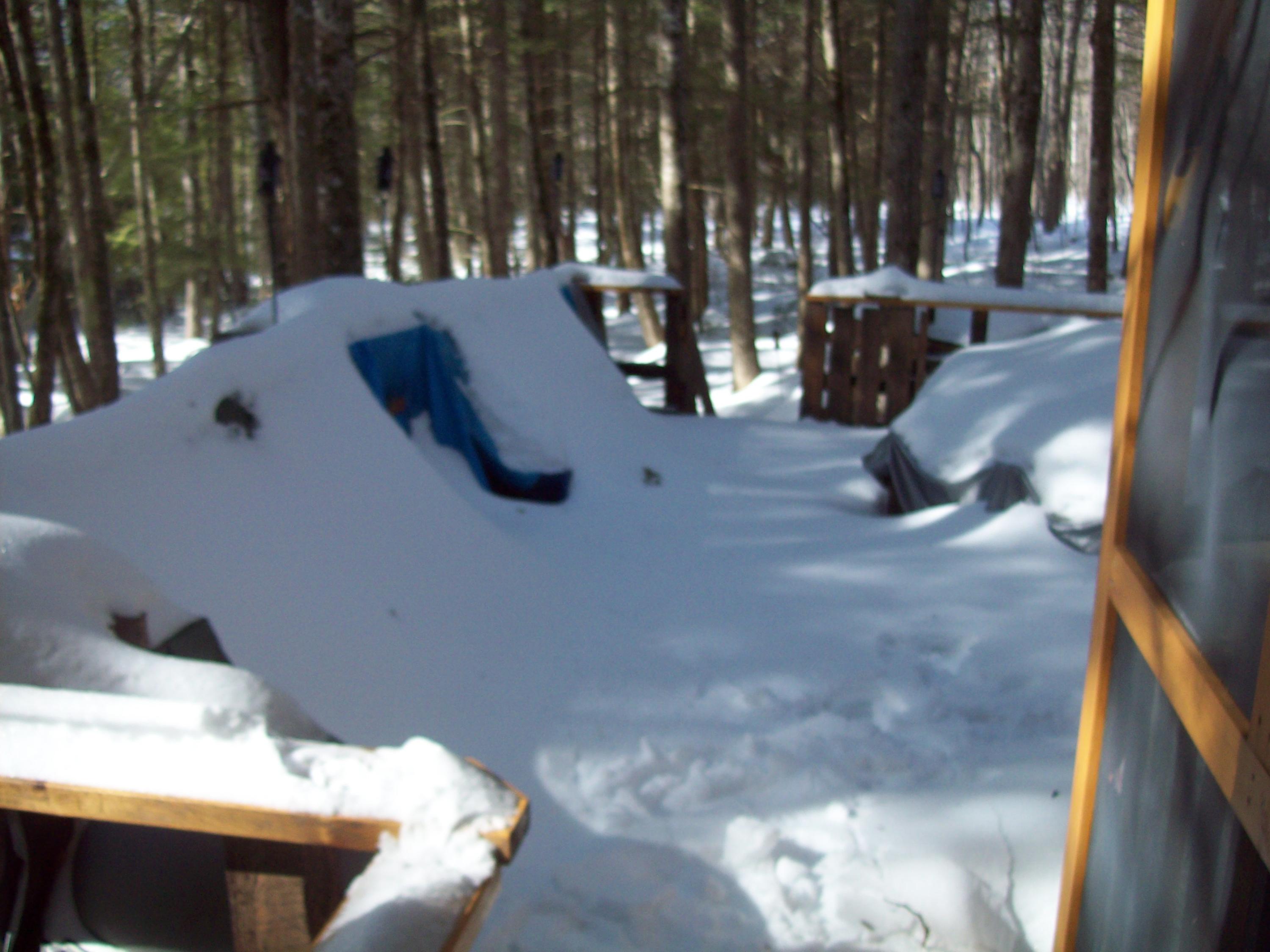 221 Upper Pug Road Lakeville, ME 04487 - Photo 12 of 13 100_1647