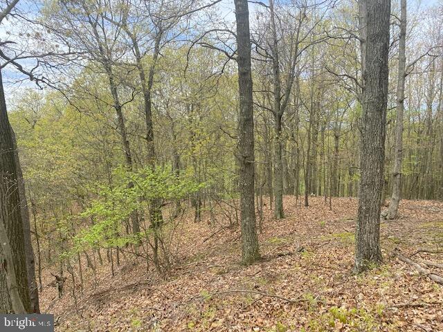Lot 6 Polecat Hollow Road Hopewell, PA 16650 - Photo 11 of 28 a view of a yard with trees