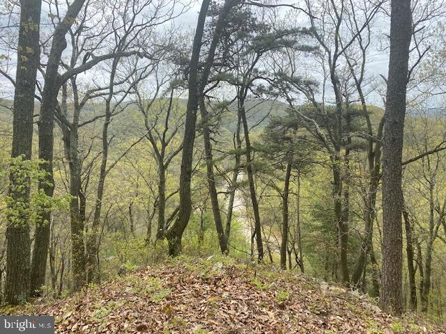 Lot 6 Polecat Hollow Road Hopewell, PA 16650 - Photo 12 of 28 a backyard of a house with lots of green space