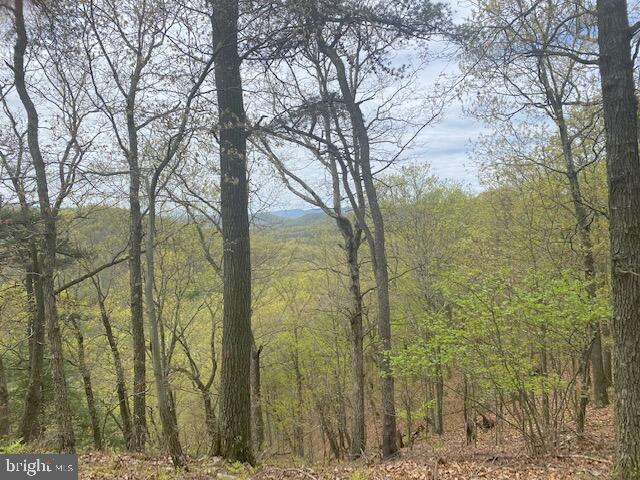 Lot 6 Polecat Hollow Road Hopewell, PA 16650 - Photo 13 of 28