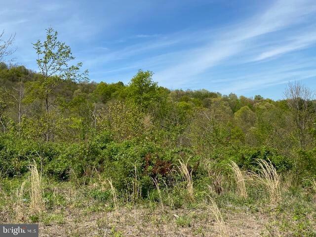 Lot 6 Polecat Hollow Road Hopewell, PA 16650 - Photo 14 of 28 a view of a yard