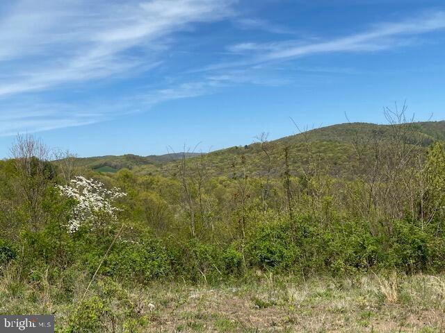 Lot 6 Polecat Hollow Road Hopewell, PA 16650 - Photo 15 of 28 a view of a large mountain with mountains in the background