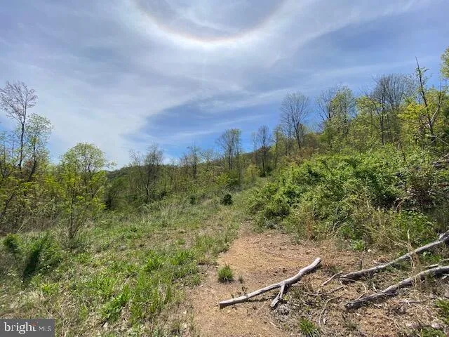 a view of a field with an trees