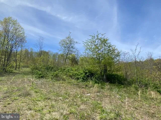 a view of a field with an ocean