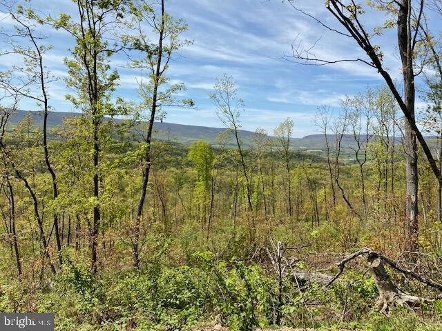 Lot 6 Polecat Hollow Road Hopewell, PA 16650 - Photo 5 of 28 a view of yard with green space