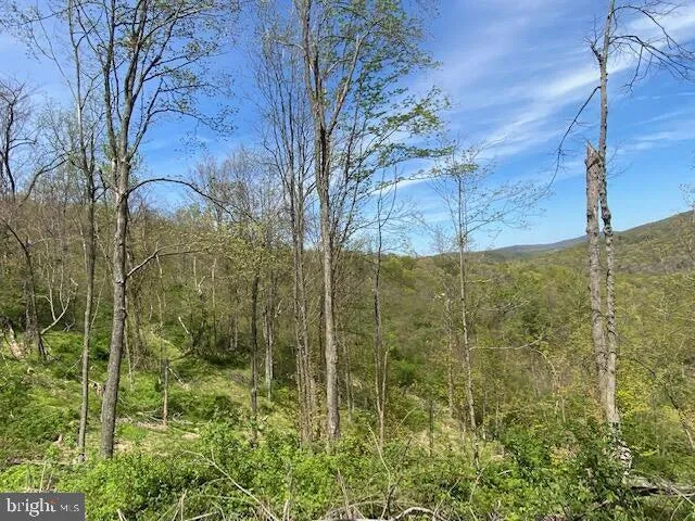 a view of an ocean from a space