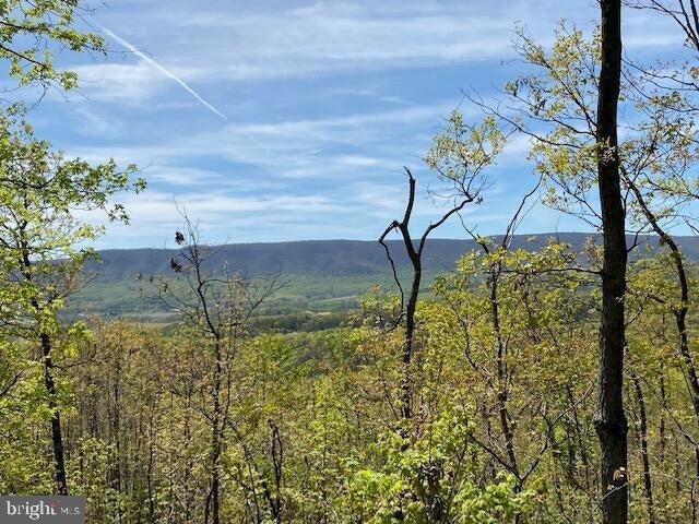 Lot 6 Polecat Hollow Road Hopewell, PA 16650 - Photo 8 of 28 a view of a yard