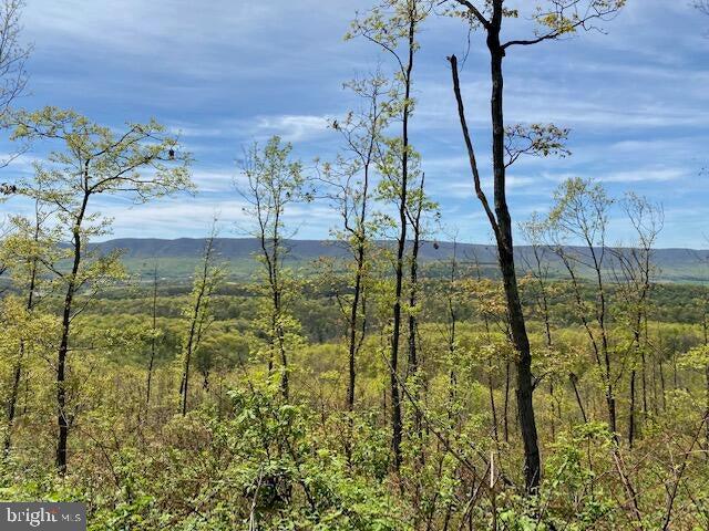 Lot 6 Polecat Hollow Road Hopewell, PA 16650 - Photo 10 of 28 a view of an ocean view