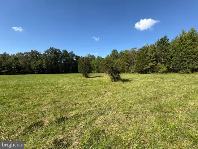 a view of an outdoor space and a yard