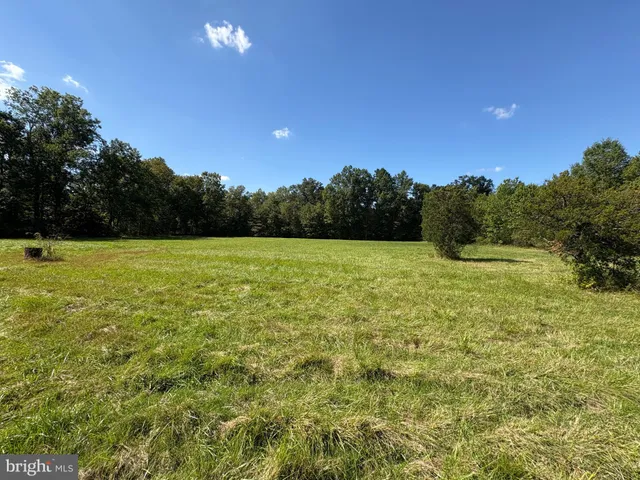 a view of a field with a tree in the background